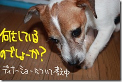 今日カズ０９１１０１　１