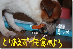 今日カズ０９１１０１　３