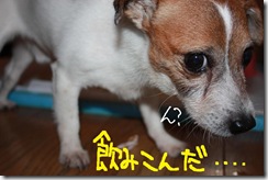今日カズ０９１１０１　４