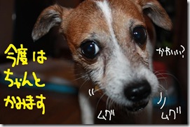 今日カズ０９１１０１　６