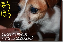今日カズ０９１１０２　１