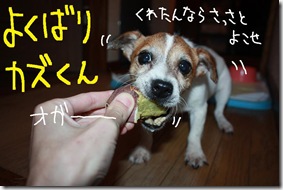 今日カズ０９１１０２　３