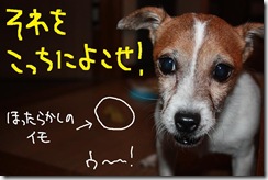 今日カズ０９１１０２　５