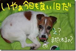 今日カズ０９１１０２　７