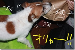 今日カズ０９１１０３　５