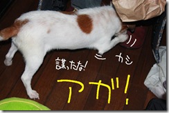 今日カズ０９１１０３　６