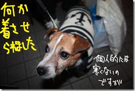 今日カズ０９１１０４　２