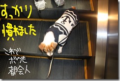今日カズ０９１１０４　３