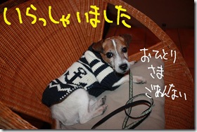 今日カズ０９１１０４　４