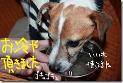 今日カズ０９１１０４　５