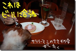今日カズ０９１１０４　６