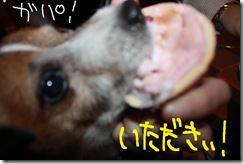 今日カズ０９１１０４　７