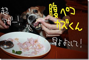 今日カズ０９１１０４　８