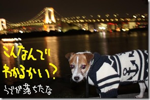 今日カズ０９１１０４　１０