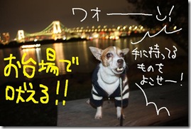 今日カズ０９１１０４　１１