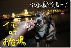今日カズ０９１１０４　１２