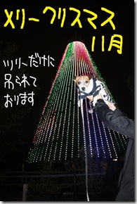 今日カズ０９１１０４　１４
