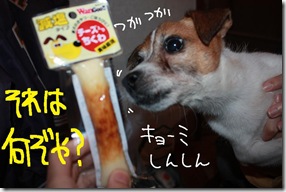 今日カズ０９１１０５　１