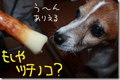 今日カズ０９１１０５　２