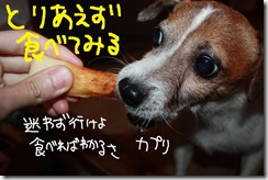 今日カズ０９１１０５　３