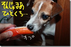 今日カズ０９１１０６　３