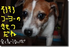 今日カズ０９１１０６　６