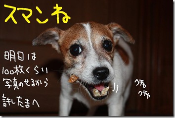 今日カズ休載