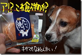 今日カズ０９１１０８　３