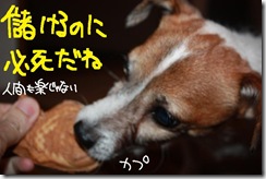 今日カズ０９１１０８　４