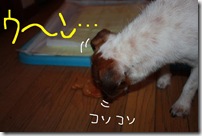 今日カズ０９１１０８　５