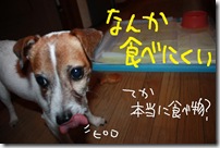 今日カズ０９１１０８　６