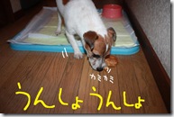 今日カズ０９１１０８　８