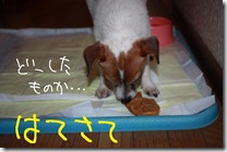 今日カズ０９１１０８　９