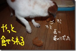 今日カズ０９１１０８　１１