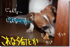 今日カズ０９１１０８　１２