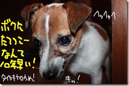 今日カズ０９１１０８　１３