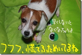 今日カズ０９１１１０　１