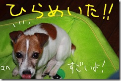 今日カズ０９１１１０　５