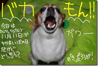今日カズ091111 4 今日カズ091111 4