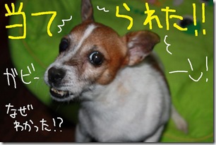 今日カズ０９１１１１　６