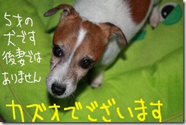 今日カズ０９１１１２　１
