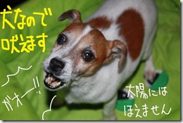 今日カズ０９１１１２　３
