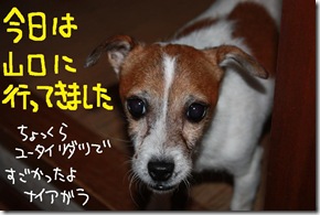 今日カズ０９１１１３　１