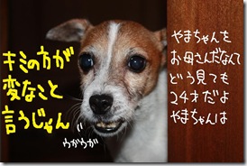 今日カズ０９１１１３　２