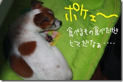 今日カズ０９１１１４　１