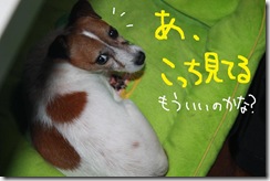 今日カズ０９１１１４　２