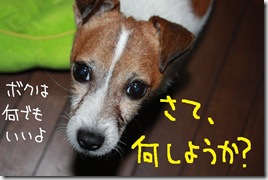今日カズ０９１１１４　４