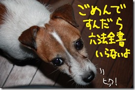 今日カズ０９１１１６　２