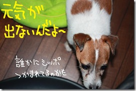 今日カズ０９１１１６　４