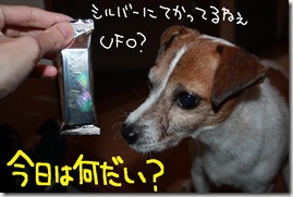 今日カズ０９１１１７　１